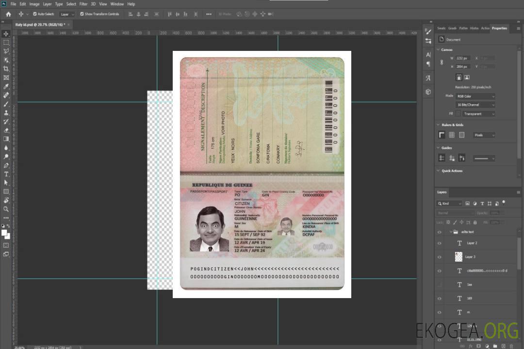 Passeport GUINÉE (2018 présent) template